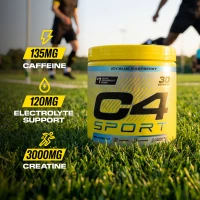 view1 C4 Sport